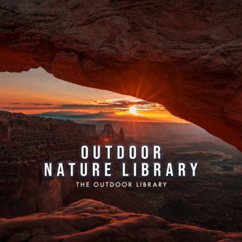 The Outdoor Library Swimming Nature