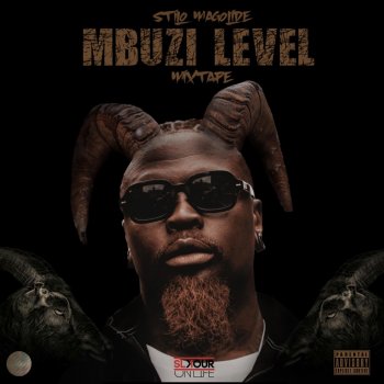 Stilo Magolide Soja