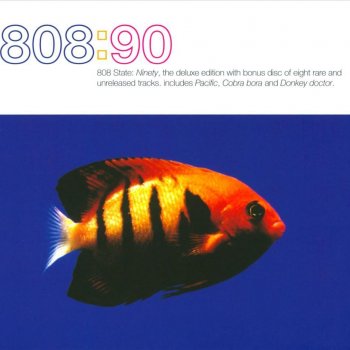 808 State Cobra Bora