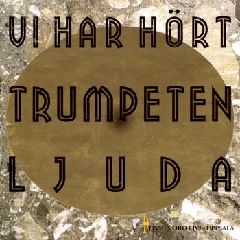 Livets Ord Worship Det Brinner En Eld (feat. Ulf Christiansson) [Live]