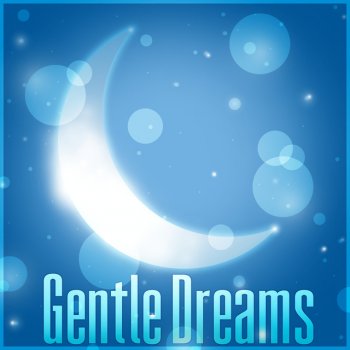 Deep Sleep Maestro Soothing Sounds