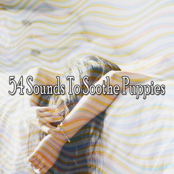 Baby Lullaby Academy Newfound Peace