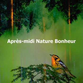 Bruit De La Nature Camp Frog