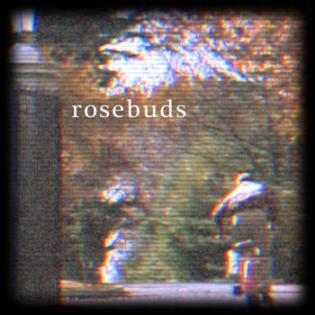 Turner rosebuds