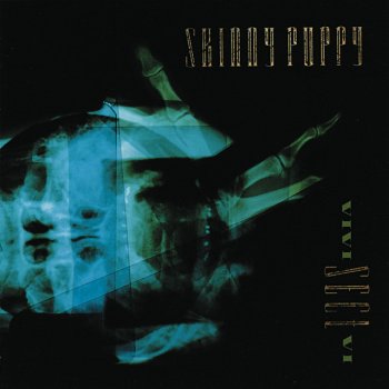 Skinny Puppy The Second Opinion