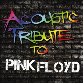 Guitar Tribute Players Comfortably Numb