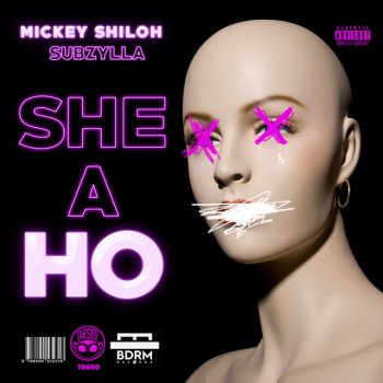 Mickey Shiloh feat. Subzylla She a Ho