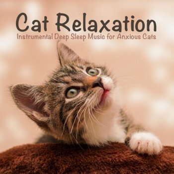 RelaxMyCat feat. Cat Music Dreams & Cat Music Therapy Cherry Blossom