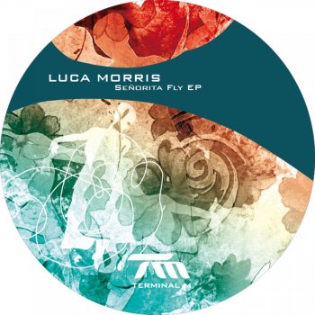 Luca Morris Technics 1210