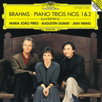 Johannes Brahms feat. Maria João Pires, Augustin Dumay & Jian Wang Piano Trio No.2 in C, Op.87: 2. Andante con moto