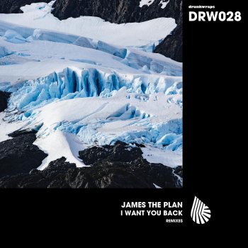 James The Plan I Want You Back (Club Mix)