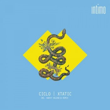 Ciclo Xtatic (Harvy Valencia Remix)