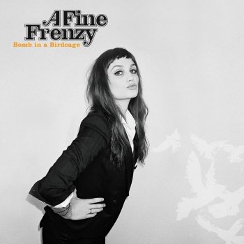 A Fine Frenzy What I Wouldn't Do