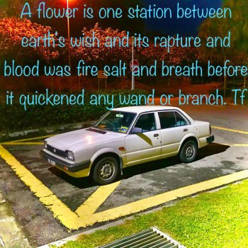 Исполнитель Lurkgurl, альбом january_fringefigure