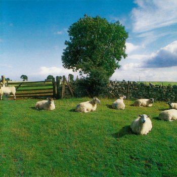 The KLF The Lights of Baton Rouge Pass By