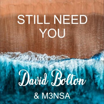 David Bolton feat. M3NSA Still Need You (feat. M3nsa)
