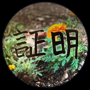 スカイピース 証明