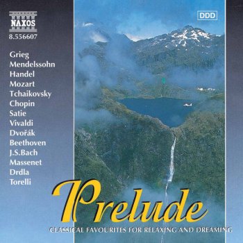 Johann Sebastian Bach, Capella Istropolitana & Bohdan Warchal Brandenburg Concerto No. 2 in F Major, BWV 1047: II. Andante