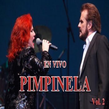 Pimpinela Me Enganaste