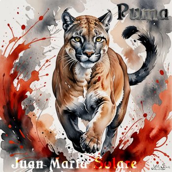 Исполнитель Juan Maria Solare, альбом Puma