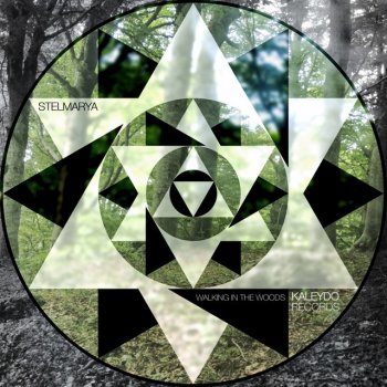 Исполнитель Stelmarya, альбом Walking In The Woods