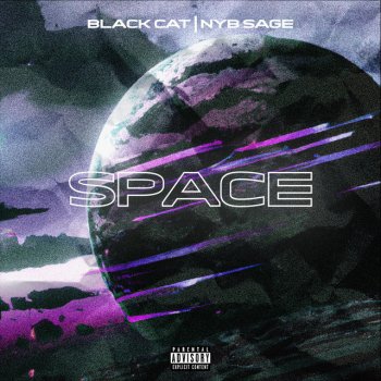 Исполнитель Black Cat, альбом SPACE