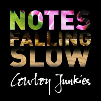 Cowboy Junkies Dragging Hooks (River Song Trilogy: Part Three)