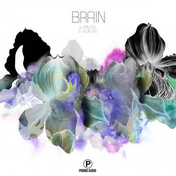 Brain 6Mwtd