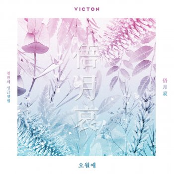 VICTON TIME OF SORROW