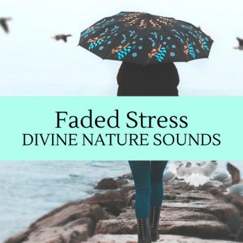 Remedial Ocean Sounds Dreams of Ocean Waves