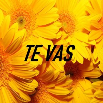 Melodico feat. Rapper Mc Te Vas
