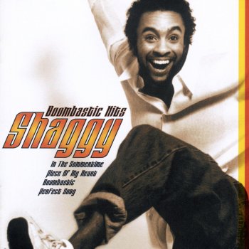 Shaggy In the Summertime (Sting/Shaggy remix)