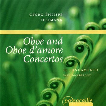 Il Fondamento feat. Paul Dombrecht Concerto for Oboe in D Minor, TWV 51:d1: IV. Allegro