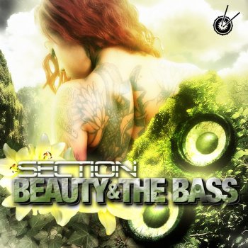 SECTION Beauty & The Bass - Radio Edit