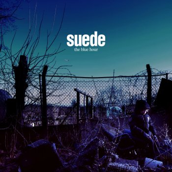 Suede Dead Bird