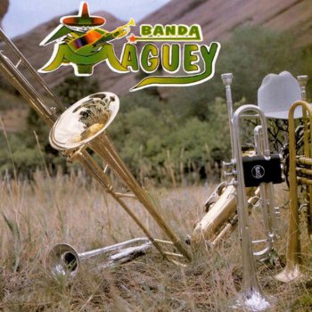 Banda Maguey Si Tu No Estas