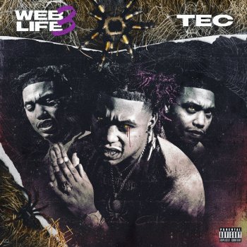 TEC Poetic Web (Vibin)