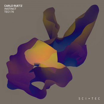 Carlo Ruetz Distorted Perception
