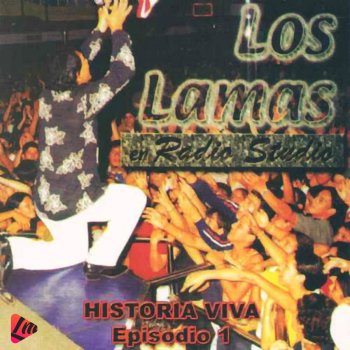Los Lamas Curiosidad de un Soñador