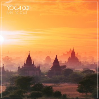 Mr. Yoga Monk's Meditation