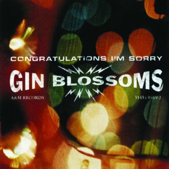 Gin Blossoms Follow You Down