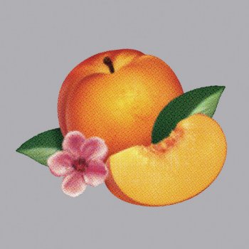 Phoenix Bankrupt!