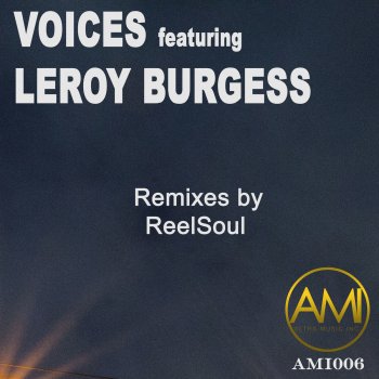 Исполнитель Leroy Burgess, альбом Voices: ReelSoul Remixes