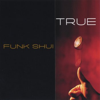 Исполнитель Funk Shui, альбом TRUE