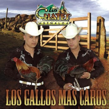 Los Cuates de Sinaloa El Compa Chino