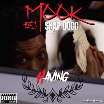 Mook feat. Snap Dogg Having