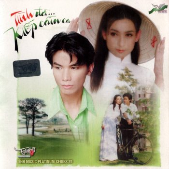 Phi Nhung Tình đời... Kiếp cầm ca (instrumental)