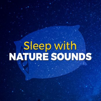 Deep Sleep Nature Sounds Riverside Birdsong