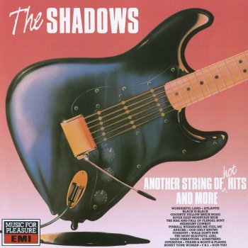 The Shadows Goodbye Yellow Brick Road