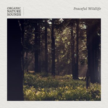 Исполнитель Organic Nature Sounds, альбом Peaceful Wildlife
